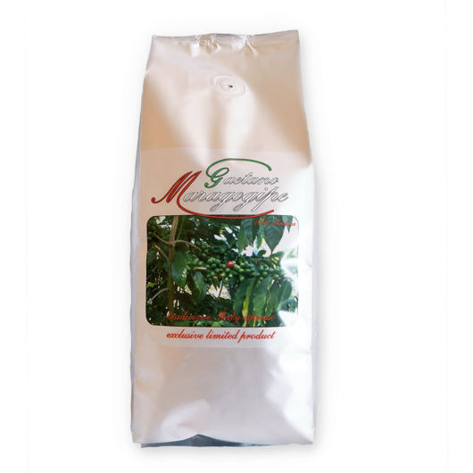 Gaetano Maragogippe - 500g